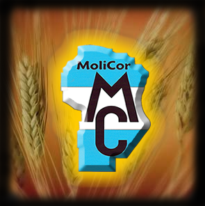 Logo MoliCor